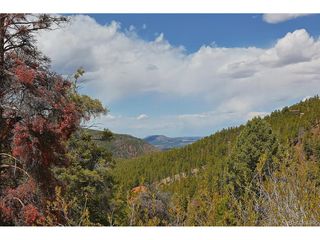 13499 S Firedog Way, Larkspur, CO 80118