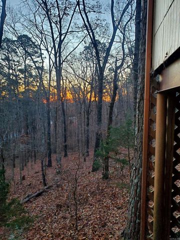 113 Sky King Drive, Fairfield Bay, AR 72088