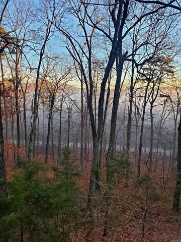 113 Sky King Drive, Fairfield Bay, AR 72088