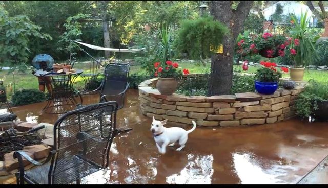 2539 Twohig Avenue, San Angelo, TX 76901