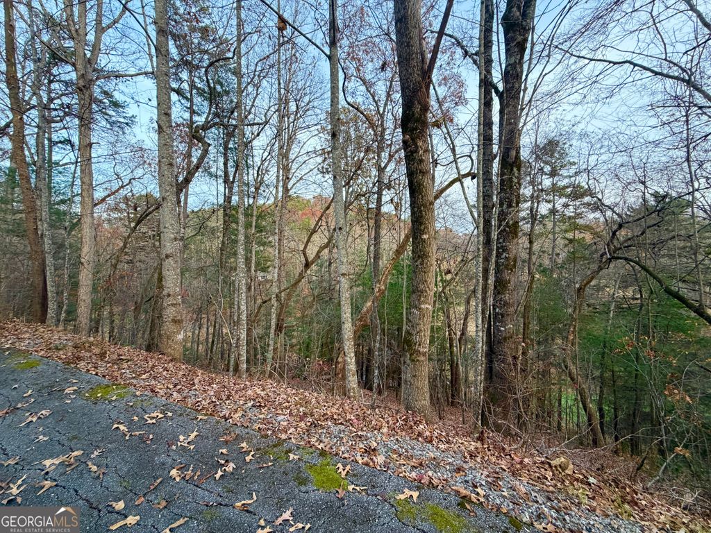 104 Kingwood Court Lane, Clayton, GA 30525 — photo 2