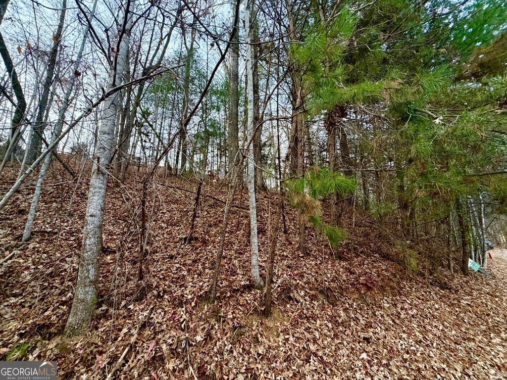 104 Kingwood Court Lane, Clayton, GA 30525 — photo 4