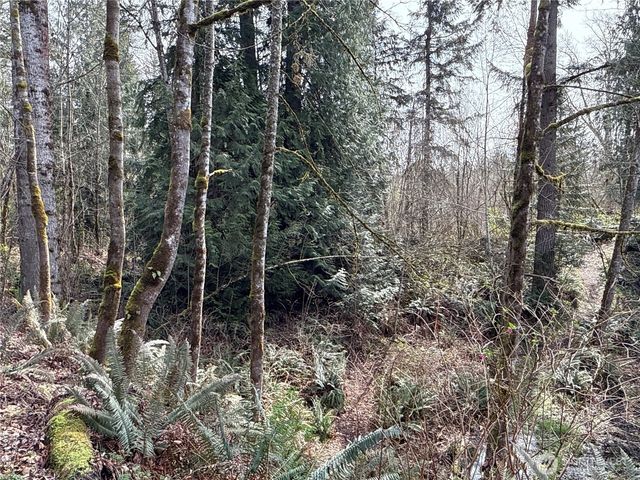 22 XXX 212th Avenue SE, Maple Valley, WA 98038