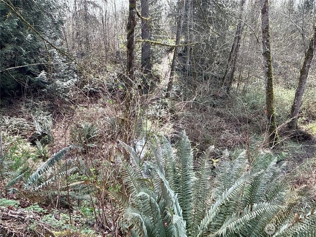 22 XXX 212th Avenue SE, Maple Valley, WA 98038