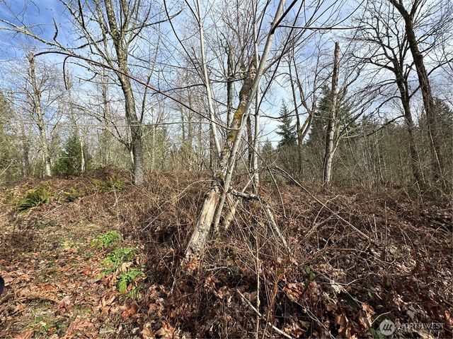 22 XXX 212th Avenue SE, Maple Valley, WA 98038