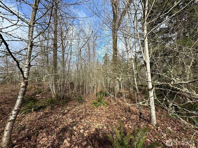 22 XXX 212th Avenue SE, Maple Valley, WA 98038