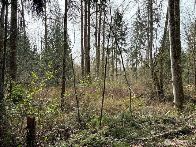 22 XXX 212th Avenue SE, Maple Valley, WA 98038