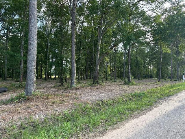 Tract 2- 000 Tbd Blackburn, Splendora, TX 77372