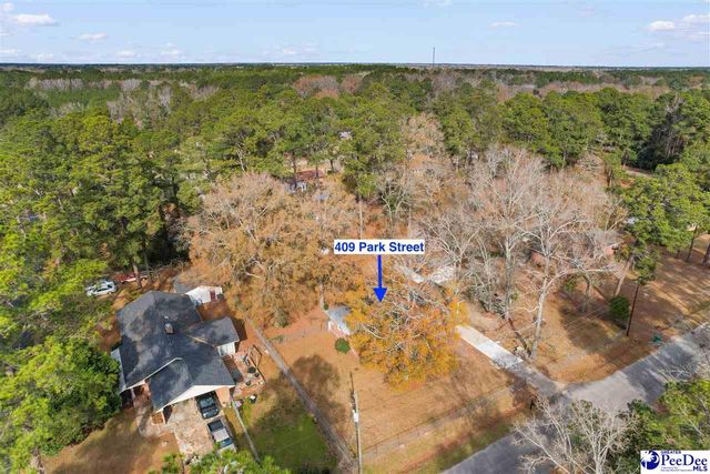 409 Park Street, Timmonsville, SC 29161