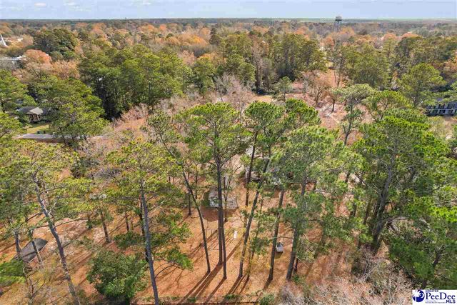 409 Park Street, Timmonsville, SC 29161