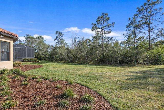 8717 SORANO VILLA DRIVE, Tampa, FL 33647