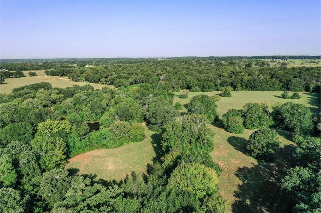 65 Acres Fm 2967, Crockett, TX 75835
