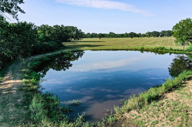 65 Acres Fm 2967, Crockett, TX 75835