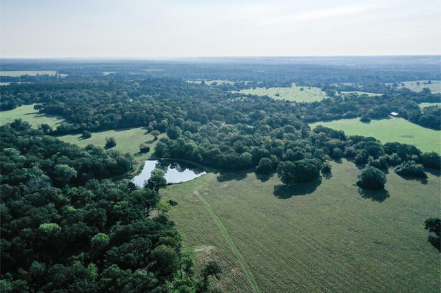 65 Acres Fm 2967, Crockett, TX 75835