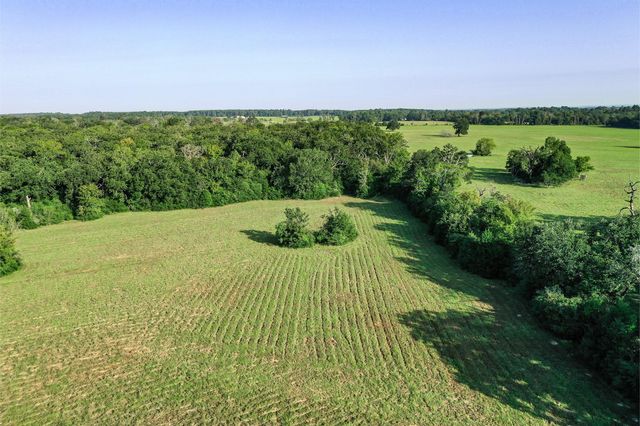 65 Acres Fm 2967, Crockett, TX 75835