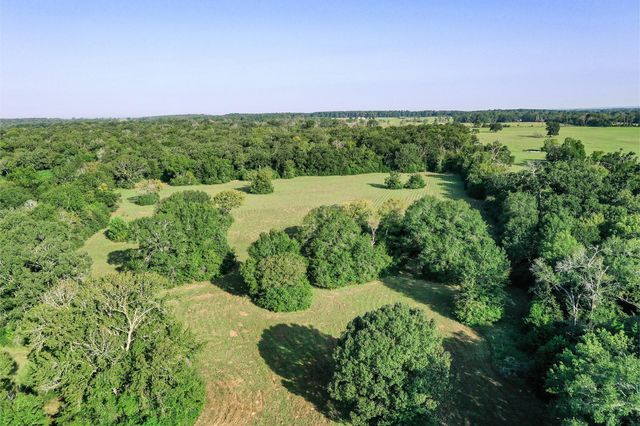 65 Acres Fm 2967, Crockett, TX 75835