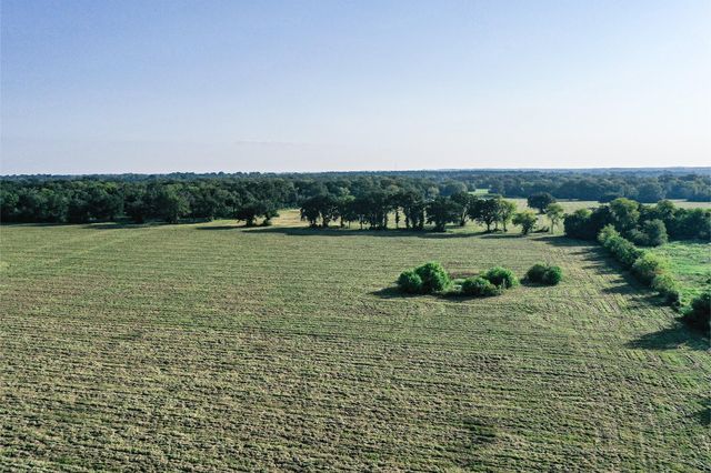 65 Acres Fm 2967, Crockett, TX 75835