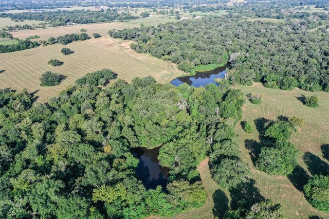 65 Acres Fm 2967, Crockett, TX 75835