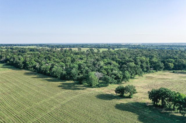 65 Acres Fm 2967, Crockett, TX 75835