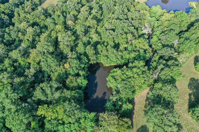 65 Acres Fm 2967, Crockett, TX 75835