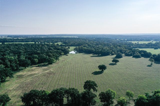 65 Acres Fm 2967, Crockett, TX 75835