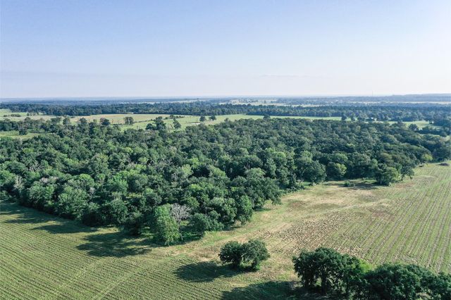 65 Acres Fm 2967, Crockett, TX 75835