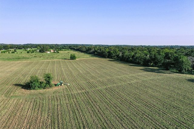 65 Acres Fm 2967, Crockett, TX 75835