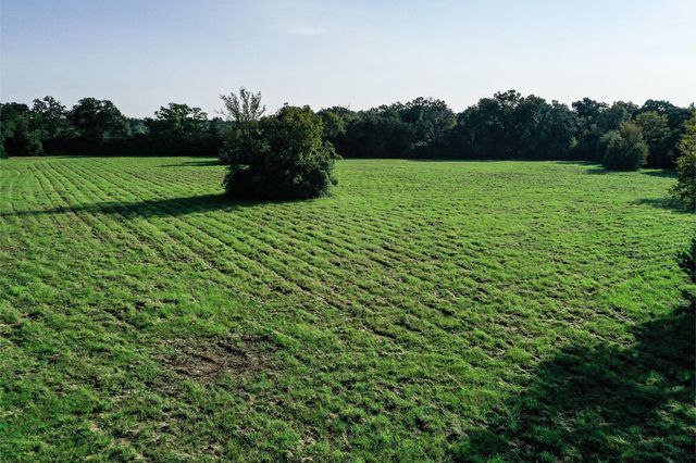 65 Acres Fm 2967, Crockett, TX 75835