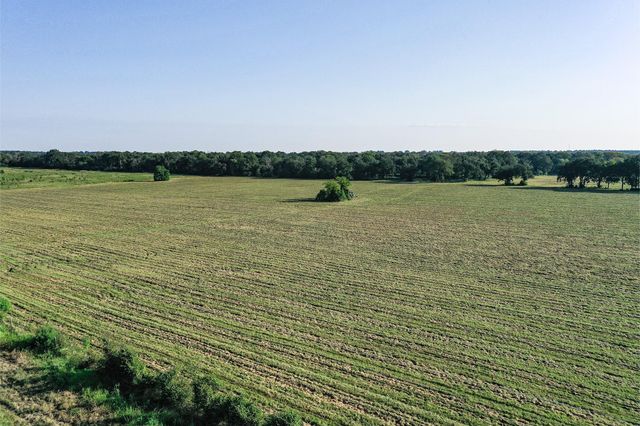 65 Acres Fm 2967, Crockett, TX 75835