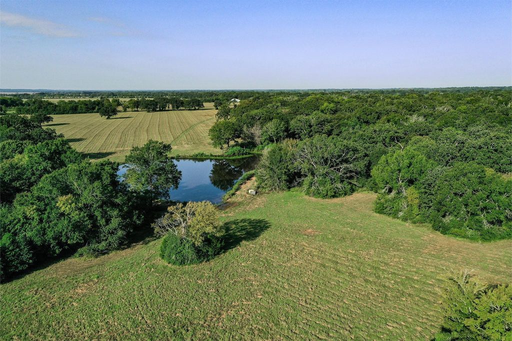 65 Acres Fm 2967, Crockett, TX 75835