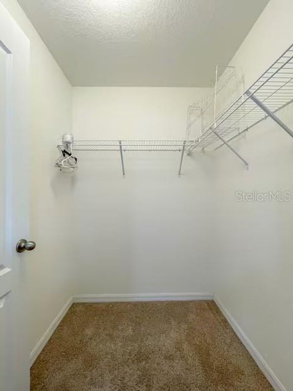 Image 19 of property listing at 10108 HAWK STORM AVENUE, Tampa, FL 33610