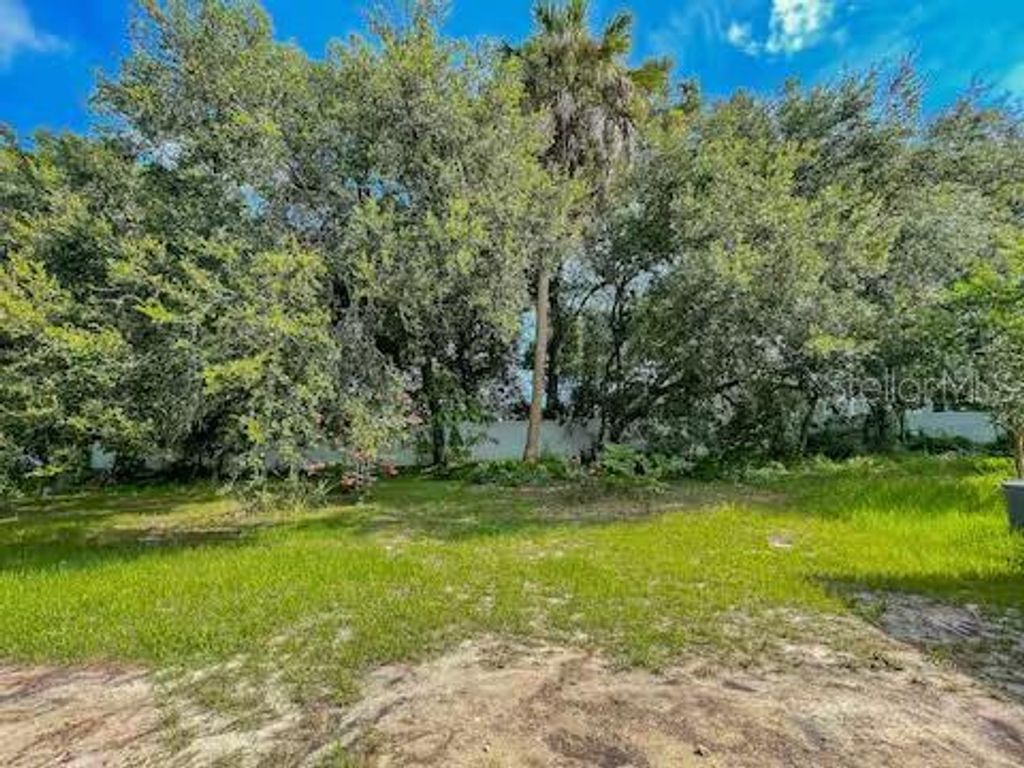 Image 40 of property listing at 10108 HAWK STORM AVENUE, Tampa, FL 33610