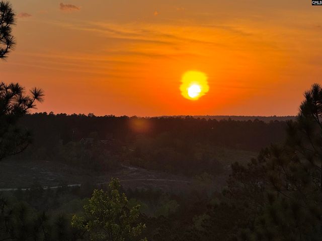 616 Rose Quartz Lane, Lexington, SC 29073