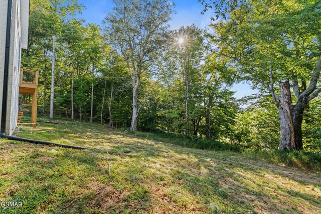 1430 Beechtop Lane, Kodak, TN 37764