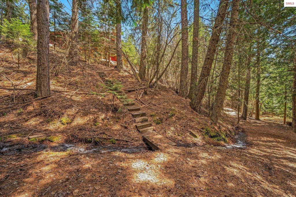 12515 Baldy Mountain Rd, Sandpoint, ID 83864 photo 77