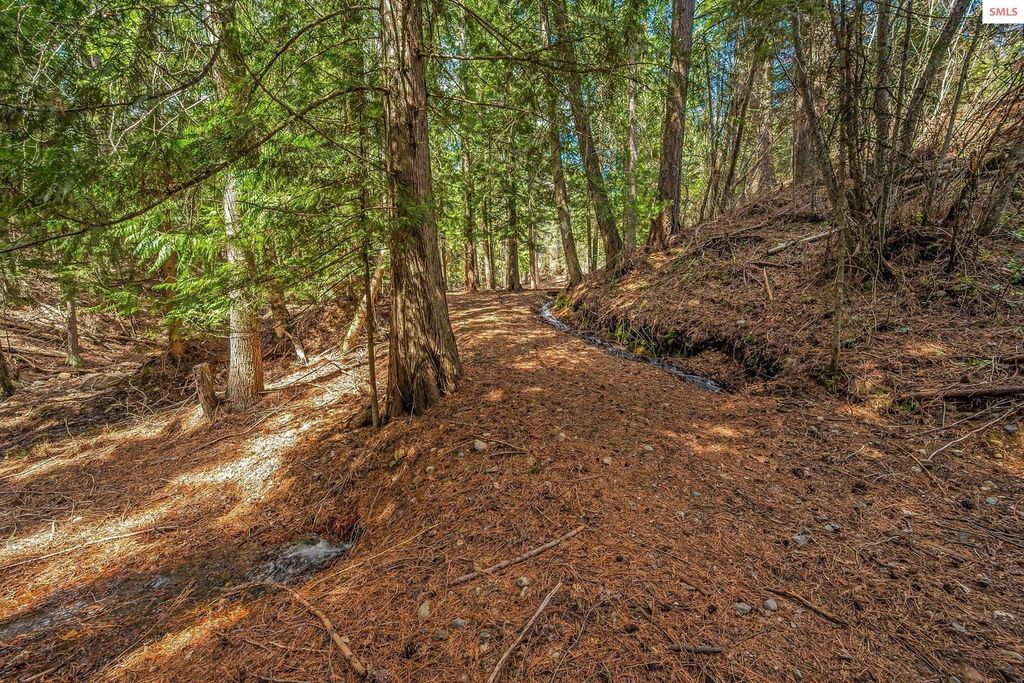12515 Baldy Mountain Rd, Sandpoint, ID 83864 photo 79