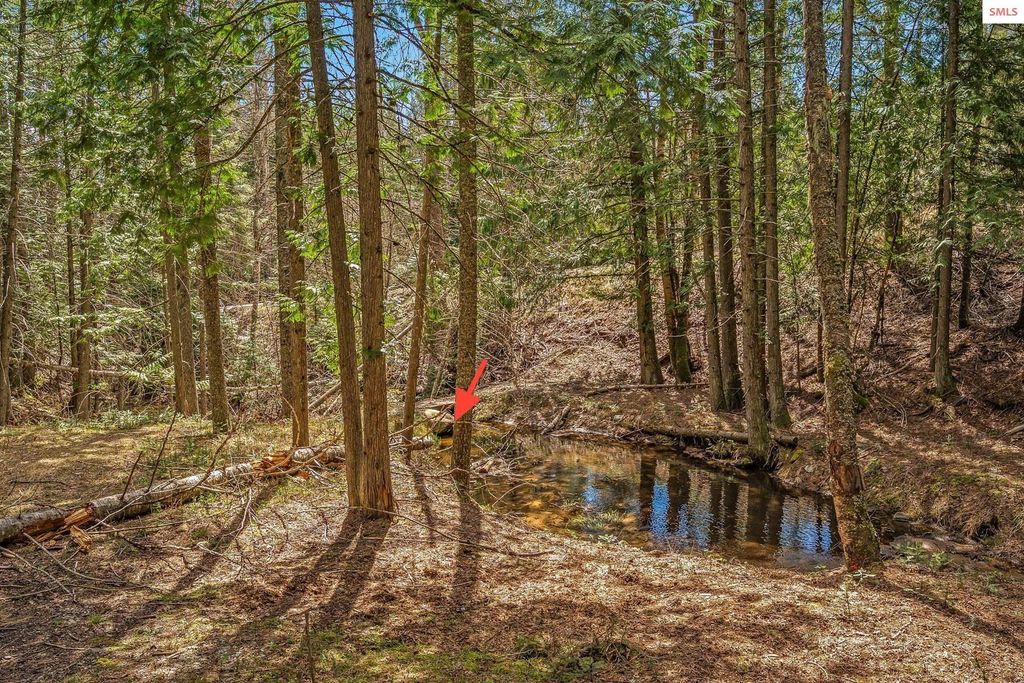 12515 Baldy Mountain Rd, Sandpoint, ID 83864 photo 80