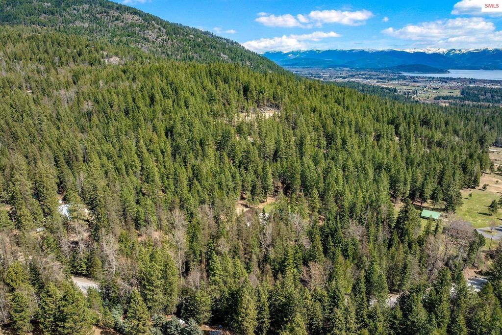 12515 Baldy Mountain Rd, Sandpoint, ID 83864 photo 83