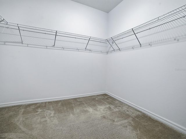 509 BLUE CYPRESS DRIVE, Groveland, FL 34736