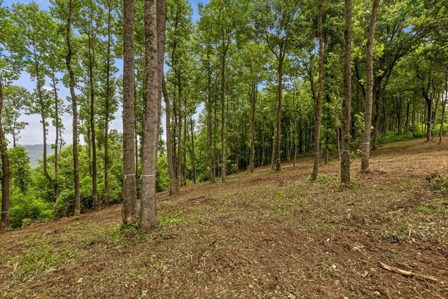 Lot 374 N Mountain Ridge Road, Talking Rock, GA 30175