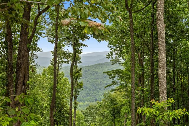 Lot 374 N Mountain Ridge Road, Talking Rock, GA 30175