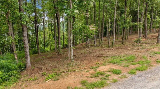 Lot 374 N Mountain Ridge Road, Talking Rock, GA 30175
