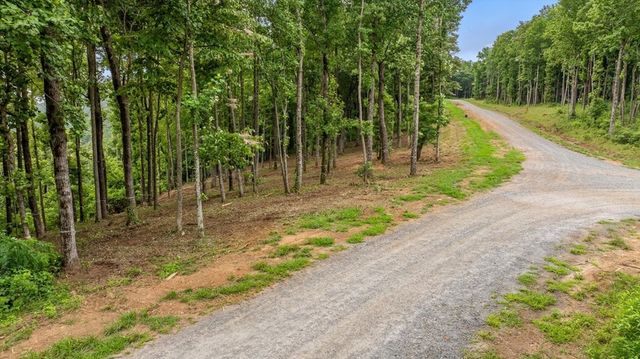 Lot 374 N Mountain Ridge Road, Talking Rock, GA 30175