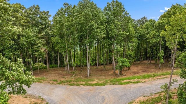 Lot 374 N Mountain Ridge Road, Talking Rock, GA 30175