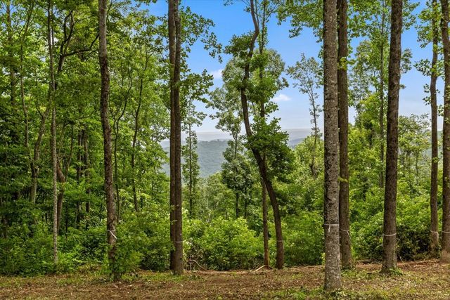 Lot 374 N Mountain Ridge Road, Talking Rock, GA 30175
