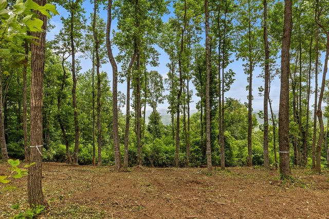 Lot 374 N Mountain Ridge Road, Talking Rock, GA 30175