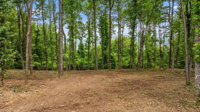 Lot 374 N Mountain Ridge Road, Talking Rock, GA 30175