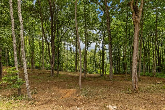 Lot 374 N Mountain Ridge Road, Talking Rock, GA 30175