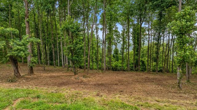 Lot 374 N Mountain Ridge Road, Talking Rock, GA 30175