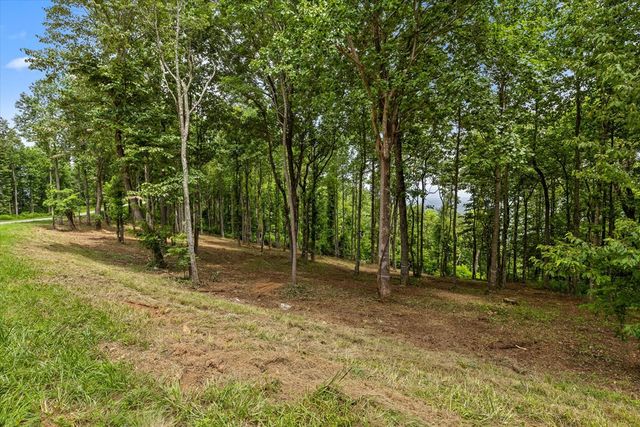 Lot 374 N Mountain Ridge Road, Talking Rock, GA 30175